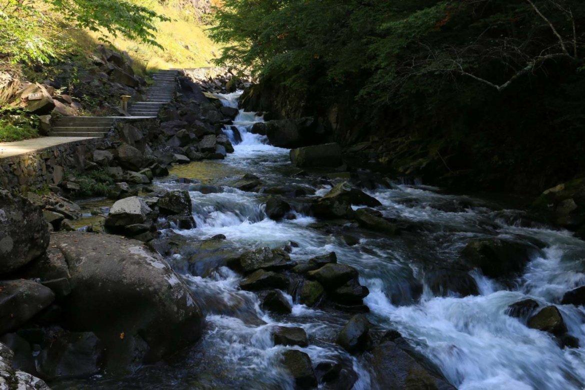 我国自主研制四座氢内燃飞机原型机在沈阳完成首飞